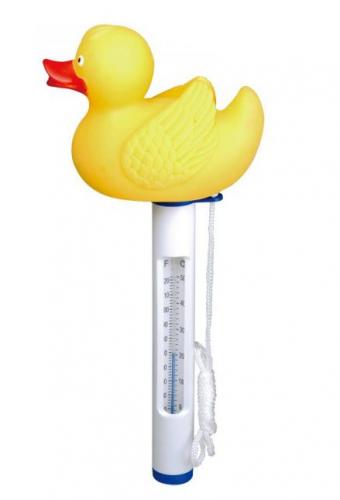 Термометр Каченя