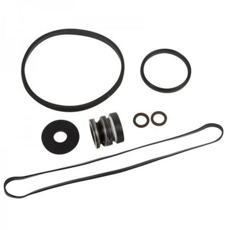 Комплект прокладок та сальник для насосів Hayward SPX1800GS