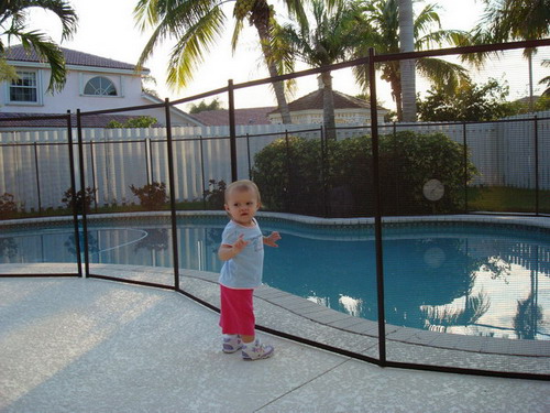 Ворота Shield із замком для огородження басейну